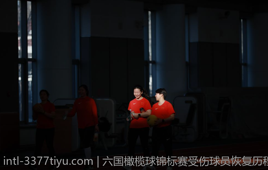 六国橄榄球锦标赛受伤球员恢复历程