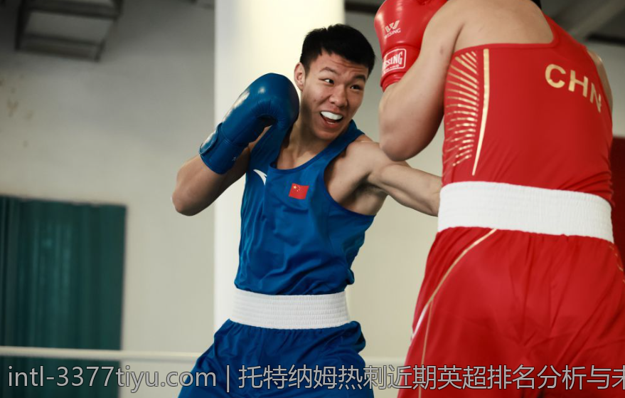 托特纳姆热刺近期英超排名分析与未来排名预测