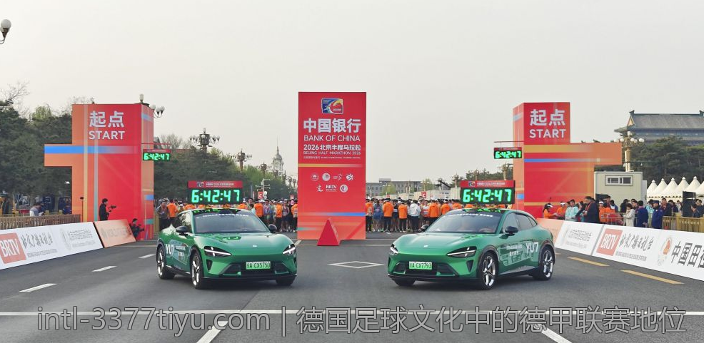 德国足球文化中的德甲联赛地位