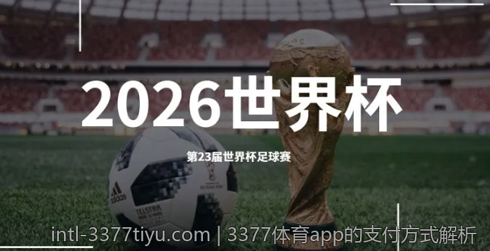 3377体育平台的市场竞争与发展展望