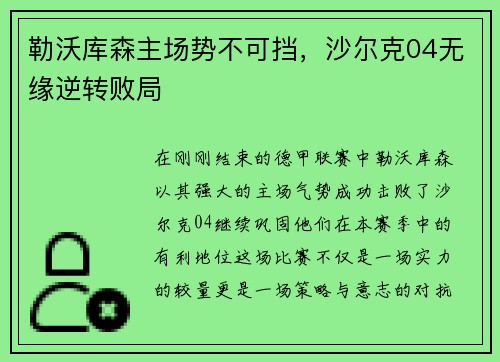 勒沃库森主场势不可挡，沙尔克04无缘逆转败局